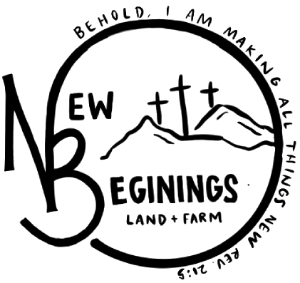 New Beginnings Construction